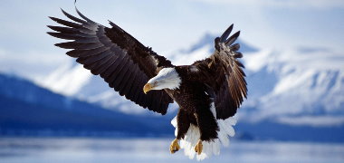 企業文化-價值觀